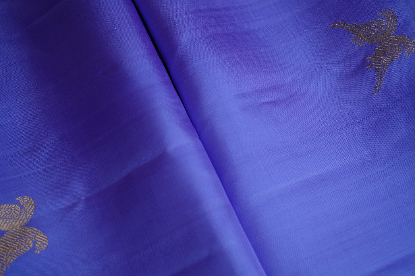 Ambaram Kanjivaram Silk Saree -AMB-RBGD-039 (3 Gram Gold Zari)