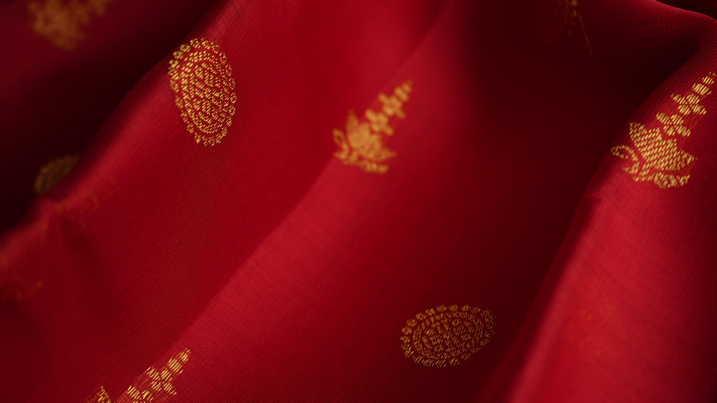 Ambaram Pure Silk Organza Kanjivaram Saree -AMB-CRMRD-064 (3 Gram Gold Zari)