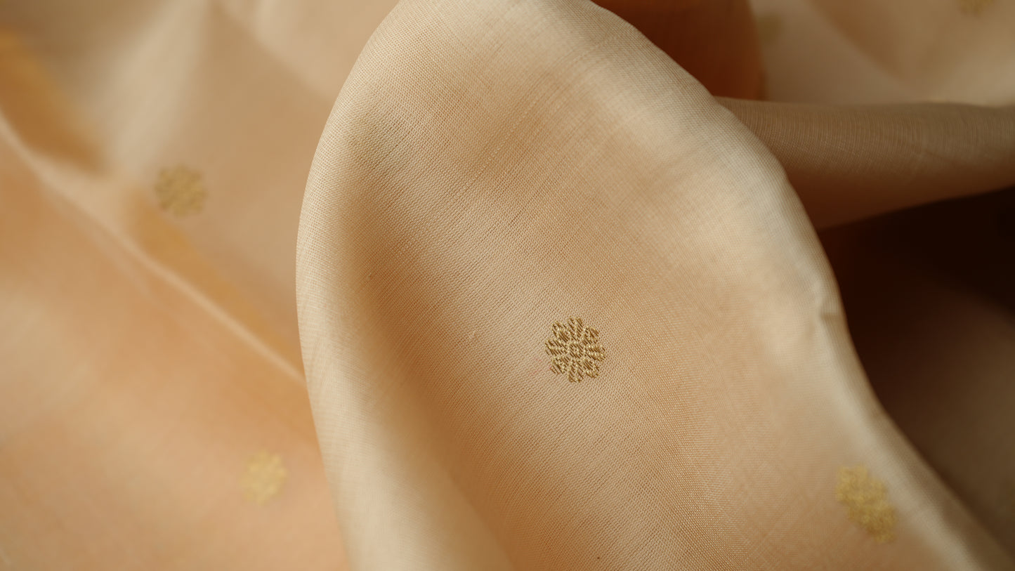 Ambaram Pure Silk Organza Kanjivaram Saree -AMB-BEORGGD-062 (3 Gram Gold Zari)
