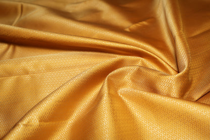 Ambaram Kanjivaram Silk Saree -AMB-AGMS-0101